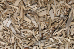 biomass boilers Idole