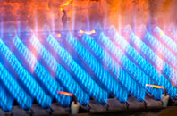 Idole gas fired boilers